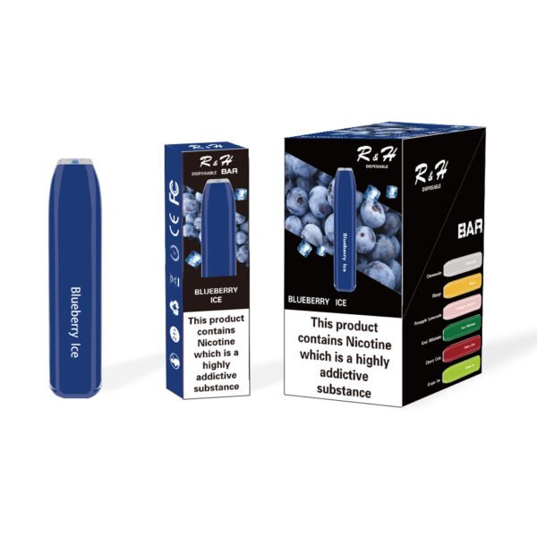 r&h bar flavor disposable vape 600 puffs