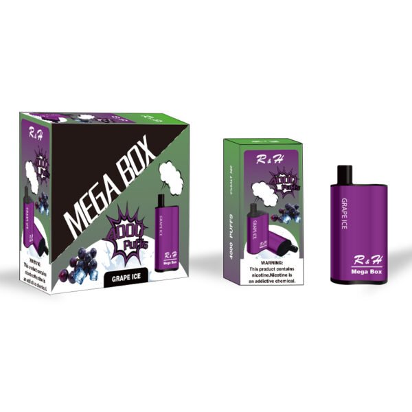 r&h mega box flavor disposable vape 4000 puffs